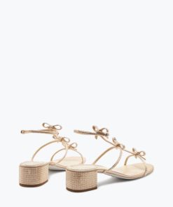 Upwardunity.shopbd24b7d28f 3