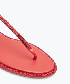 Upwardunity.shope58d13f6d0 4