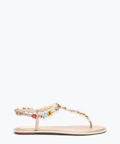 Upwardunity.shopeed3067dd4 1